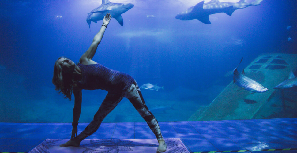 Yoga at the Aquarium